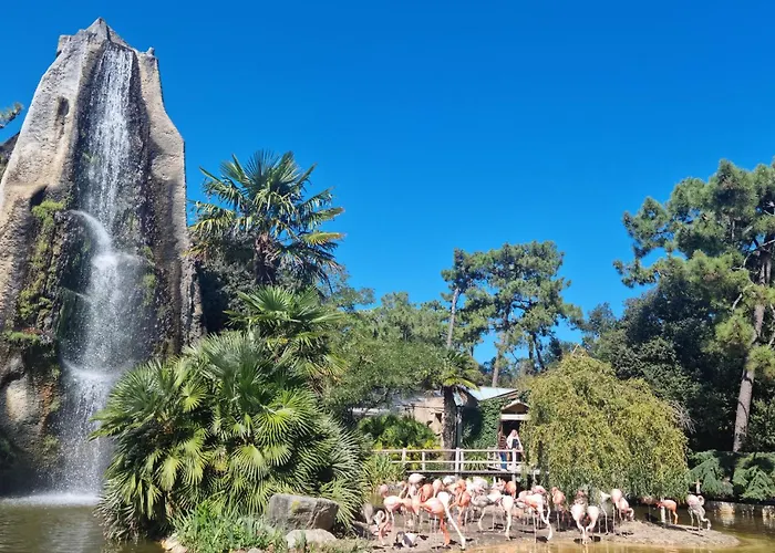 2 Bedroom Gorgeous In Apartmán Royan