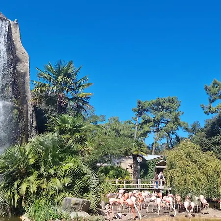 2 Bedroom Gorgeous In Apartment Royan